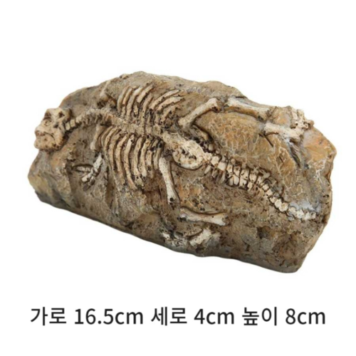 어항장식 공룡화석